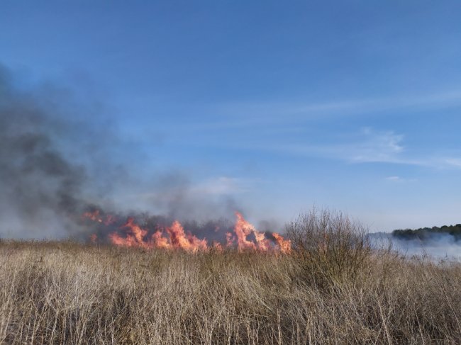 Волинські рятувальники ліквідували 14 пожеж сухої трави