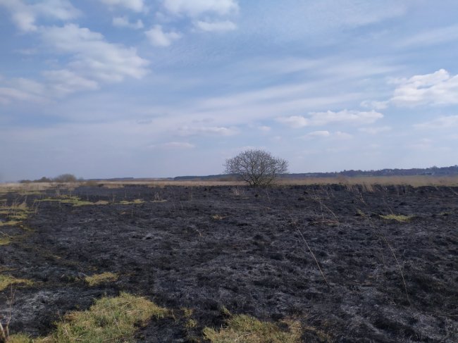 Волинські рятувальники ліквідували 14 пожеж сухої трави