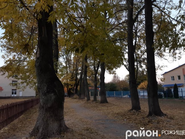 Місто на Волині восени: жовто-багряна краса. ФОТО