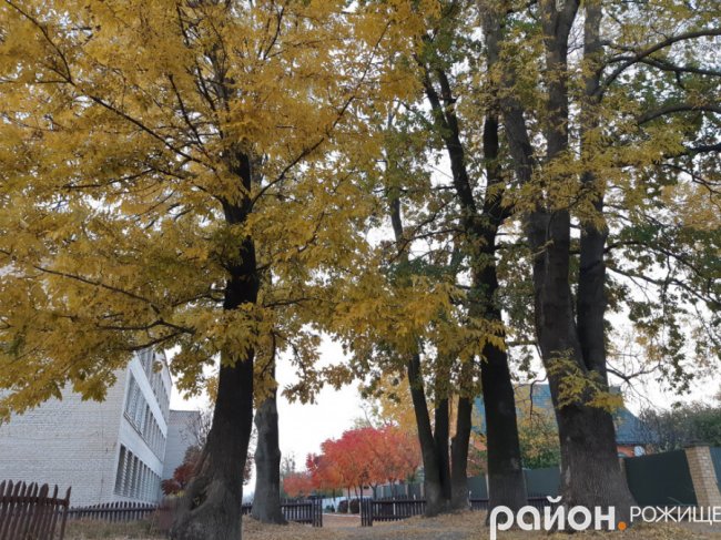 Місто на Волині восени: жовто-багряна краса. ФОТО