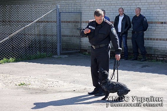 Дітлахи завітали на гостину  до чотирилапих помічників міліціонерів. ФОТО. ВІДЕО
