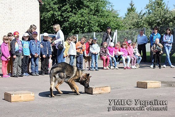 Дітлахи завітали на гостину  до чотирилапих помічників міліціонерів. ФОТО. ВІДЕО