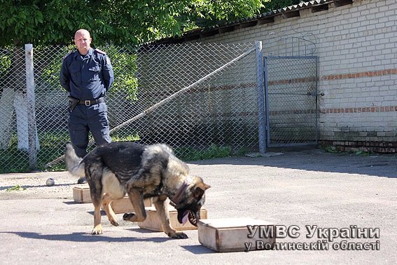 Дітлахи завітали на гостину  до чотирилапих помічників міліціонерів. ФОТО. ВІДЕО