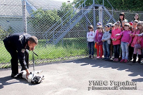 Дітлахи завітали на гостину  до чотирилапих помічників міліціонерів. ФОТО. ВІДЕО