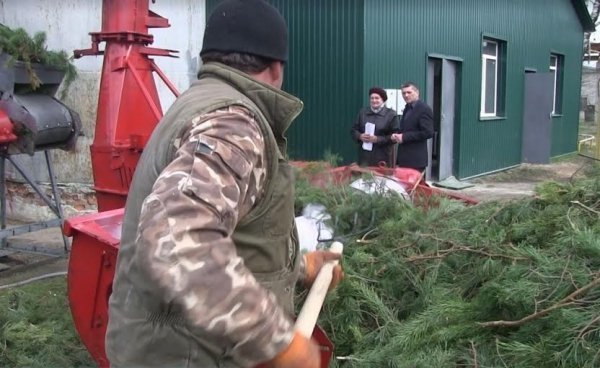 Волинський лісгосп - єдиний в Україні випускає цілющий хвойний екстракт. ФОТО