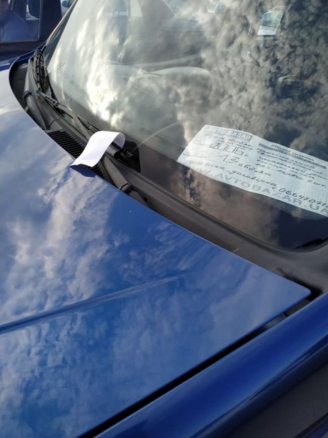 Луцькі муніципали наводили лад на авторинку