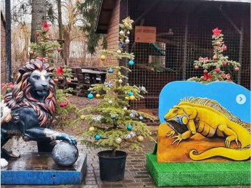 Луцький зоопарк підготував цікаву фотозону на честь символу року
