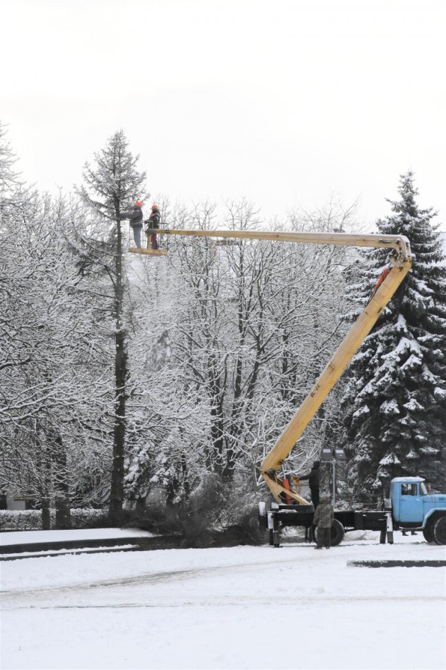 У Луцьку на меморіалі зрізують дерева. ФОТО
