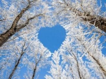 Погода в Луцьку та Волинській області на завтра, 2 лютого