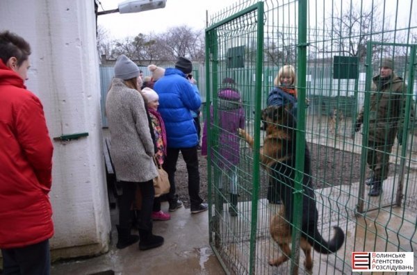 Луцькі гімназисти зібрали кошти для службових собак. ФОТО
