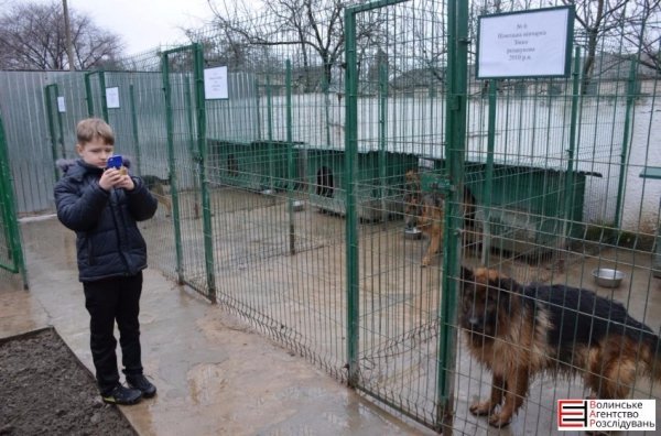 Луцькі гімназисти зібрали кошти для службових собак. ФОТО