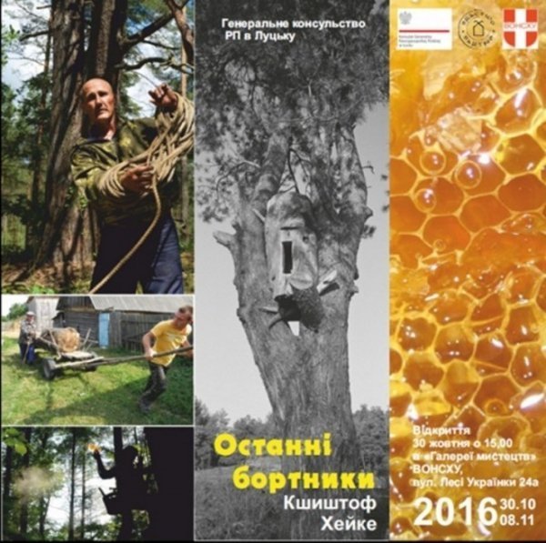 У Луцьку буде виставка фотографа «National Geographic»