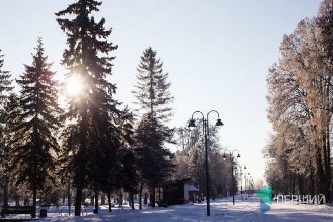 Мерехтливий сніг і кришталевий іній: Луцьк опинився у морозному полоні. ФОТО