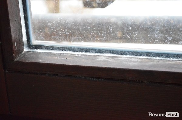 Грибок та цвіль на вікнах