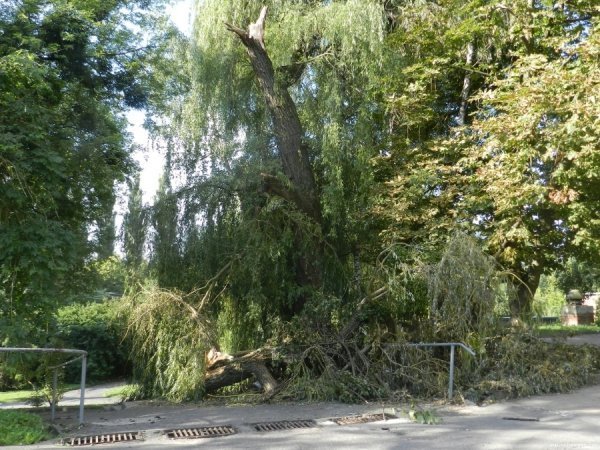 У Луцьку шостий день не можуть прибрати наслідки зливи. ФОТО