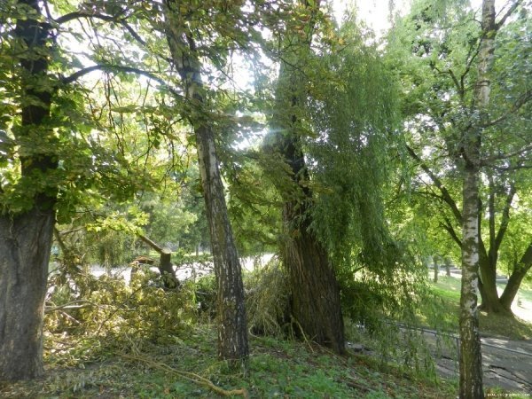 У Луцьку шостий день не можуть прибрати наслідки зливи. ФОТО
