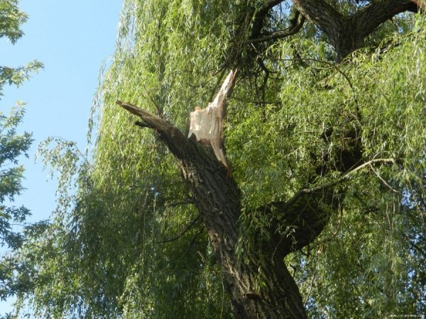 У Луцьку шостий день не можуть прибрати наслідки зливи. ФОТО