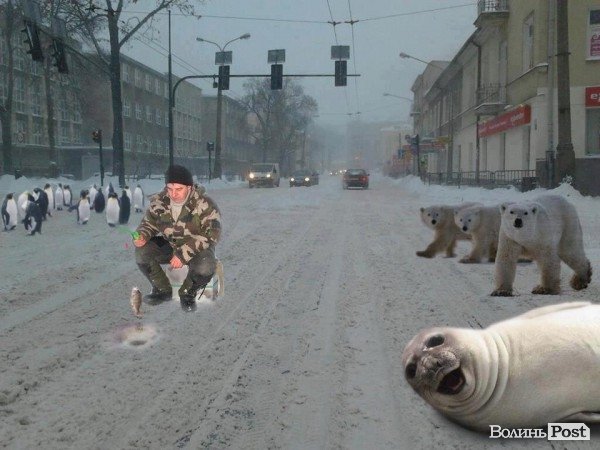 «Де весна???» Інтернет жартує над погодою 