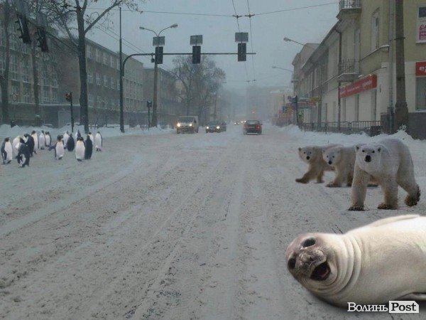 «Де весна???» Інтернет жартує над погодою 