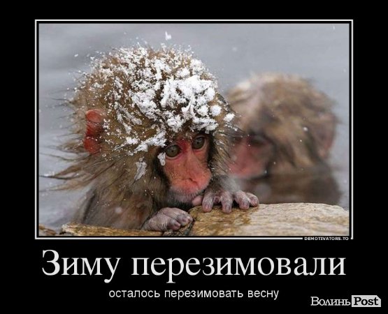 «Де весна???» Інтернет жартує над погодою 