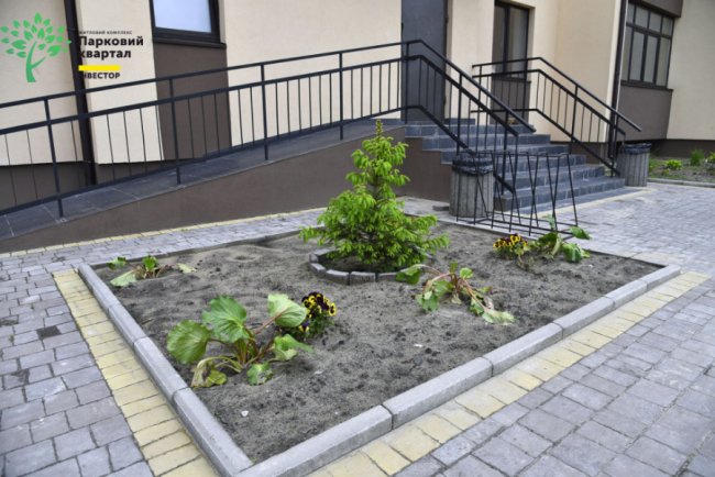 ЖК «Парковий квартал», який у Ковелі зводить «Інвестор», зазеленів. ФОТО