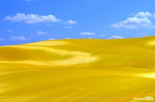 Під Берестечком розгорнули прапор України довжиною 60 метрів. ФОТО