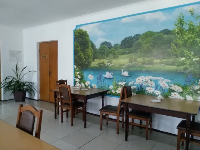 Бібліотека, ставок, емальований посуд: на Волині проінспектували соціальний терцентр. ФОТО