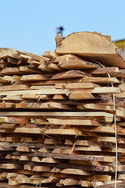 «Тверде паливо допоможе пережити зиму», – головний лісівник Волині. ФОТО