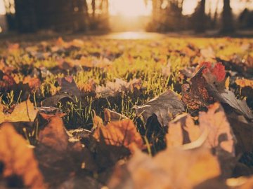 Синоптики розповіли, яким буде останній місяць осені