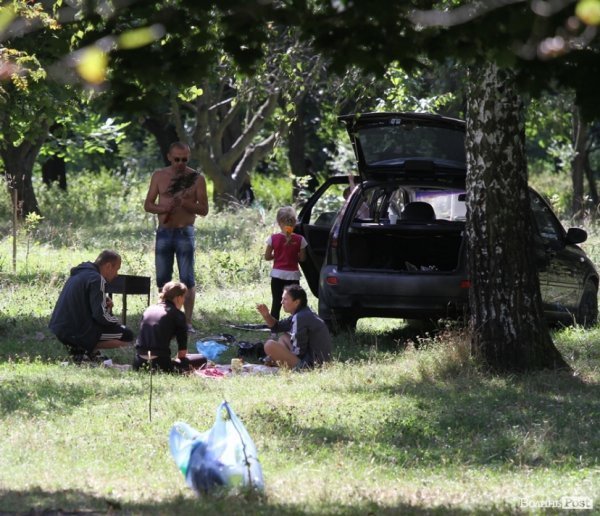 День міста: лучани  на природі. ФОТО