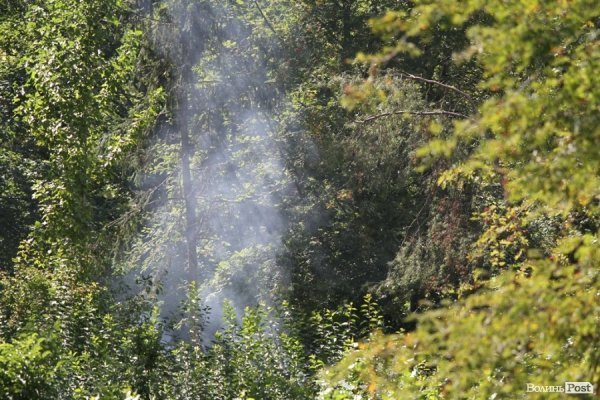 День міста: лучани  на природі. ФОТО