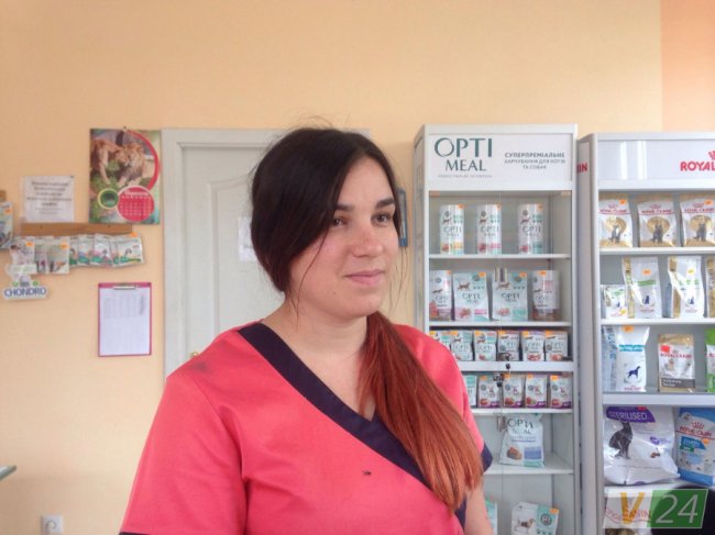 У якому стані перебуває собака Белла, яку на вулиці знайшли виснаженою. ФОТО