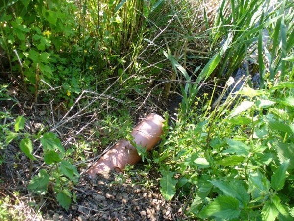 Як в середньовіччі: в Ківерцях люди виливають нечистоти на вулиці. ФОТО