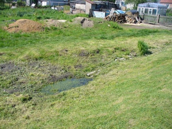 Як в середньовіччі: в Ківерцях люди виливають нечистоти на вулиці. ФОТО