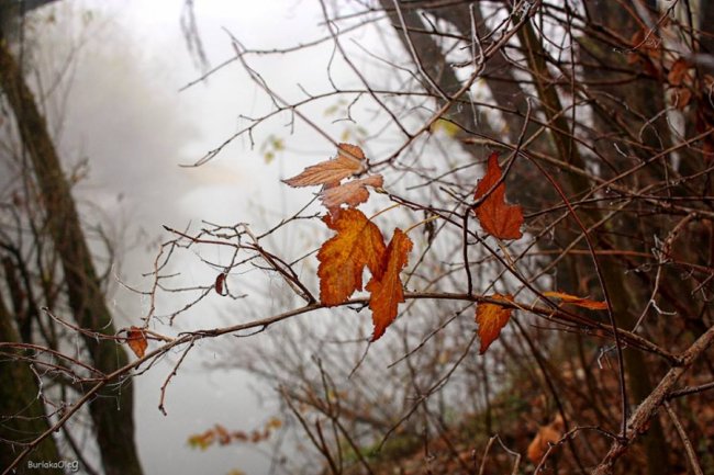 Фото загадкового туману в Луцьку