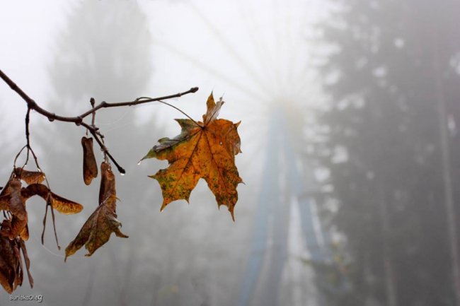 Фото загадкового туману в Луцьку