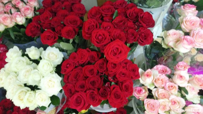 «Квітковий бум» на перший дзвоник: ціни в Луцьку. ФОТО