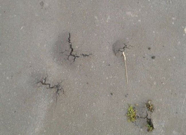 Через асфальт проростає трава: як на Волині ремонтують дороги