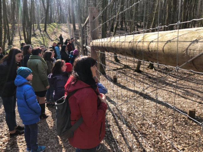 «Побратими України» організували поїздку до ботанічного заказника для діток з притулку
