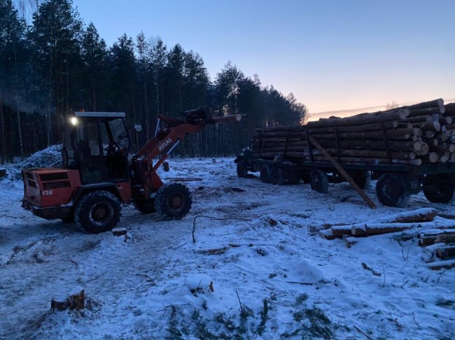 В урочищі на Волині арештували вантажівку із незаконно зрубаною деревиною
