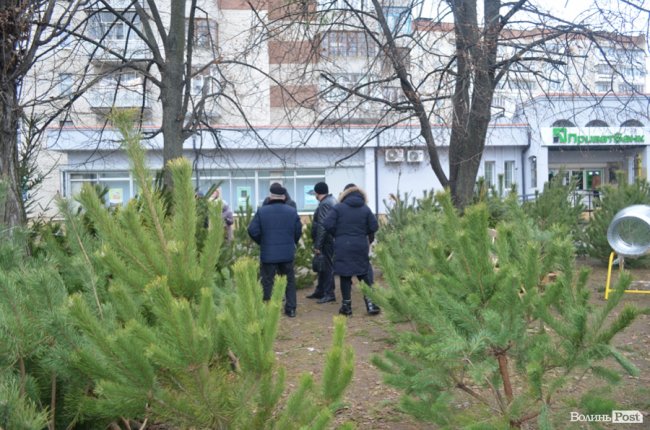 У Луцьку тривають рейди на ялинкових ринках. ПЕРШІ РЕЗУЛЬТАТИ