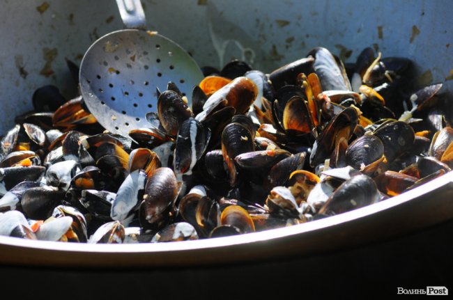 У замку Любарта - «Lutsk Food Fest». ФОТО