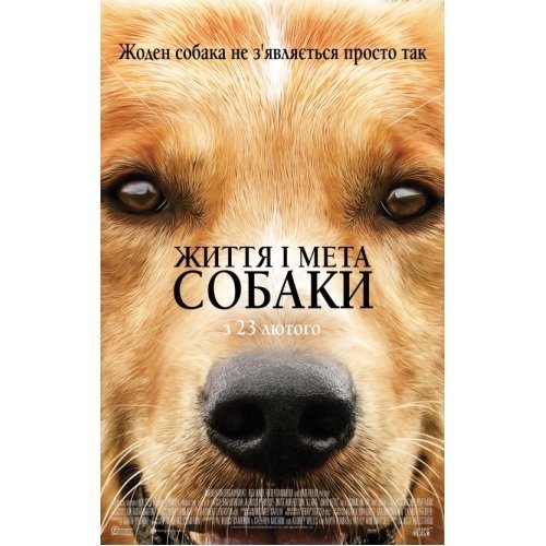 Куди піти у вихідні: 24-26 лютого