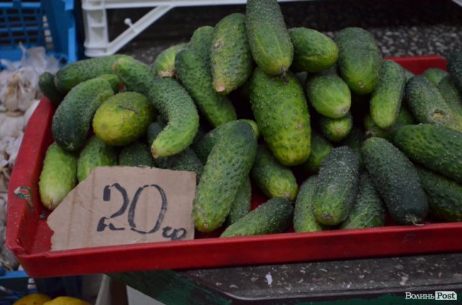 Від і до: почім на луцькому ринку молода картопля, огірки і зелена цибуля