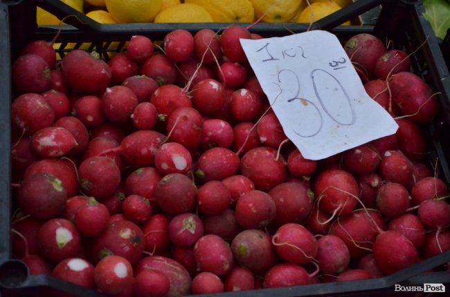 Від і до: почім на луцькому ринку молода картопля, огірки і зелена цибуля