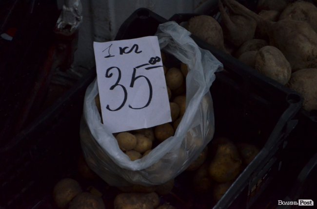 Від і до: почім на луцькому ринку молода картопля, огірки і зелена цибуля