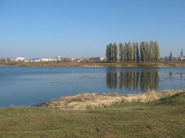 У Луцьку розпочнуть чистити береги Стиру 