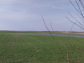 Потоп і «вдовиний плуг»: проблеми фермерів на Волині