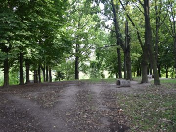 Сучасне освітлення, дитячий майданчик: як в одному з мікрорайонів Луцька планують оновити парк