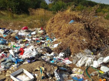 Замість осінніх пейзажів –  сміттєзвалище: волиняни загидили ліс поблизу села